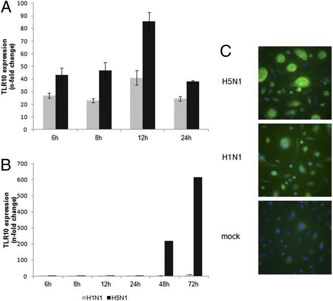 An external file that holds a picture, illustration, etc.
Object name is pnas.1324266111fig02.jpg