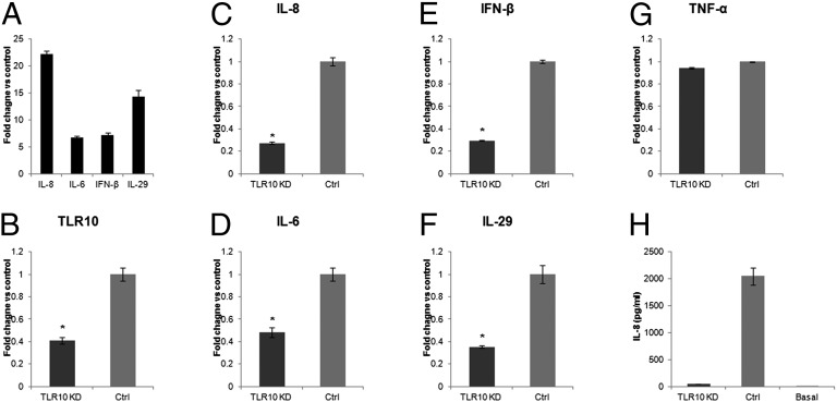 An external file that holds a picture, illustration, etc.
Object name is pnas.1324266111fig04.jpg