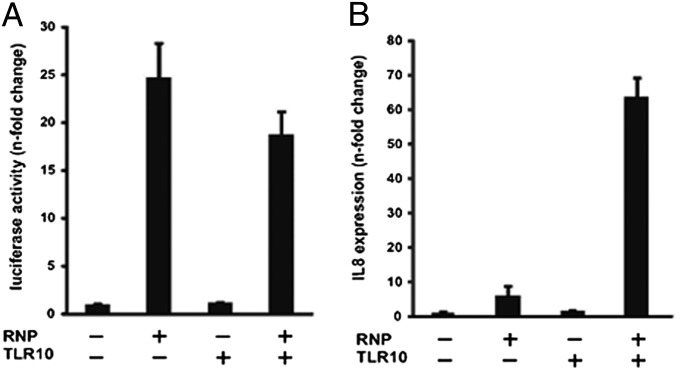 An external file that holds a picture, illustration, etc.
Object name is pnas.1324266111fig05.jpg