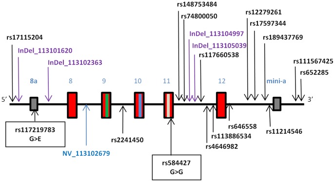 An external file that holds a picture, illustration, etc.
Object name is pone.0092556.g002.jpg