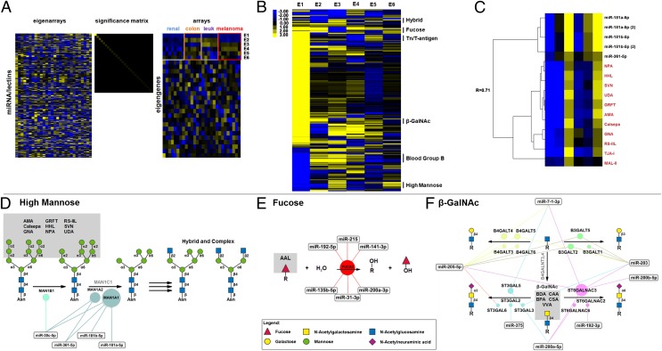 An external file that holds a picture, illustration, etc.
Object name is pnas.1321524111fig02.jpg