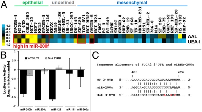 An external file that holds a picture, illustration, etc.
Object name is pnas.1321524111fig04.jpg