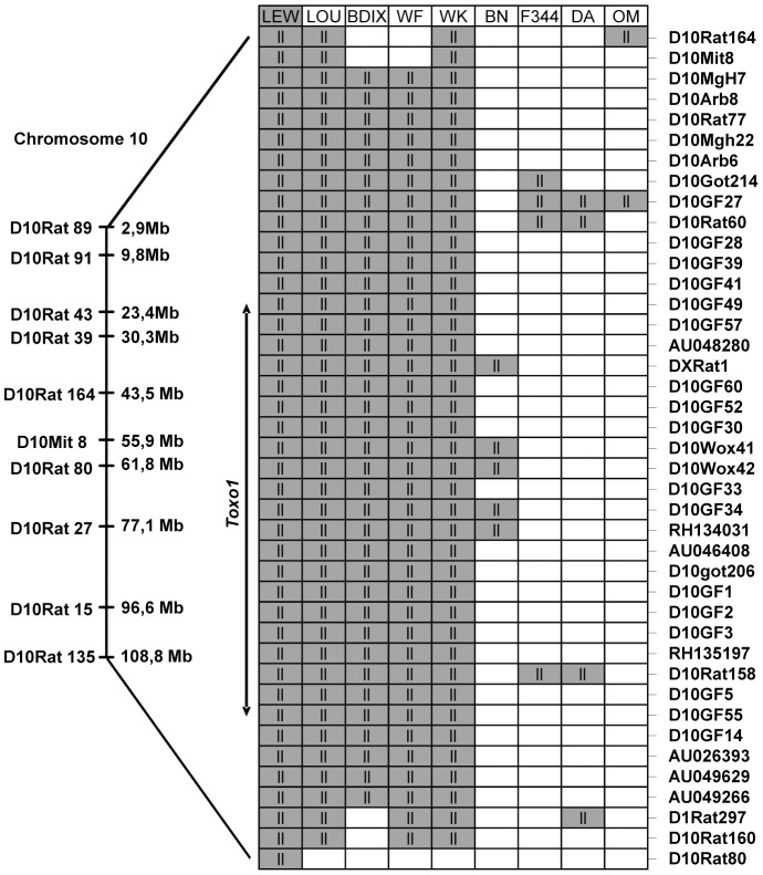 An external file that holds a picture, illustration, etc.
Object name is ppat.1004005.g004.jpg