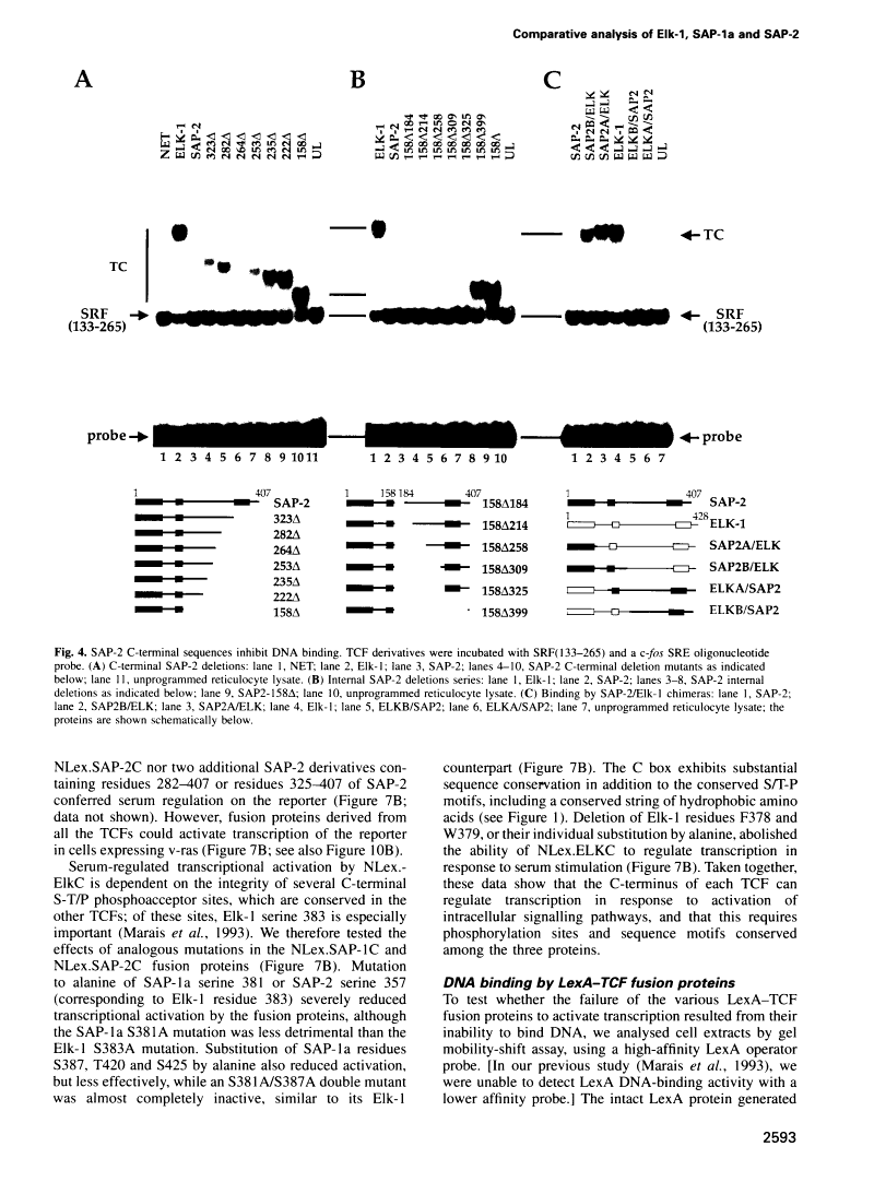 icon of scanned page 2593