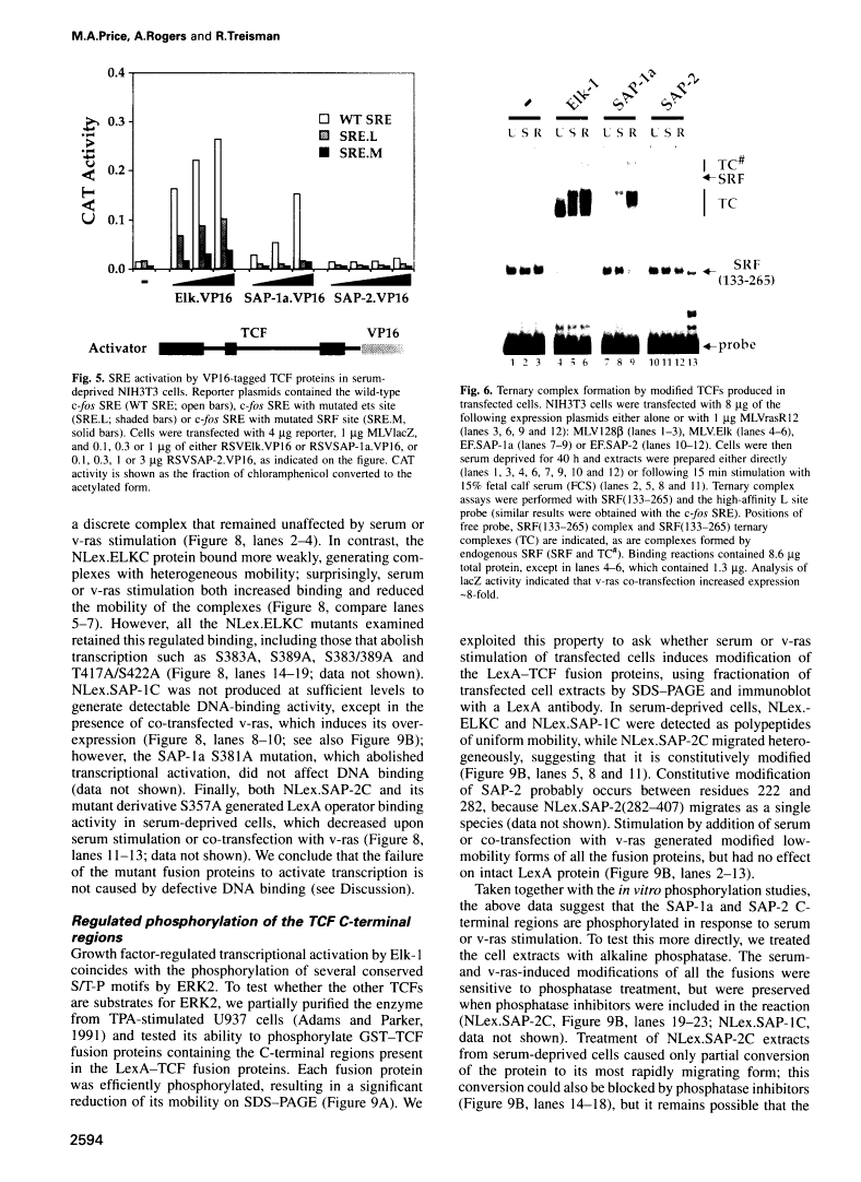 icon of scanned page 2594