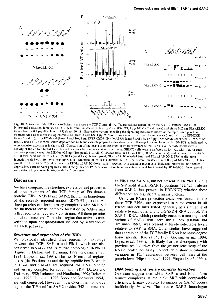 icon of scanned page 2597