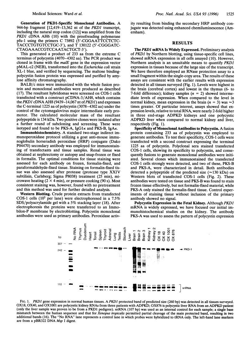 icon of scanned page 1525