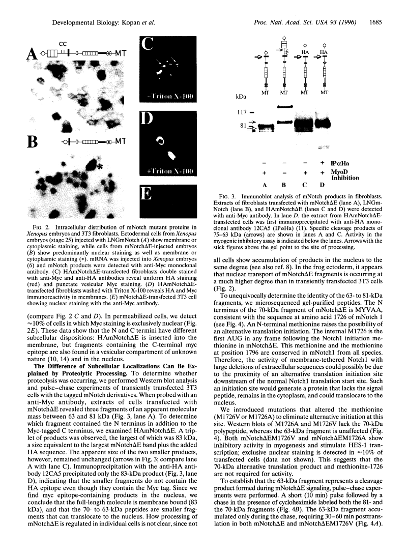 icon of scanned page 1685