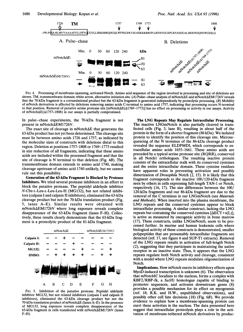 icon of scanned page 1686