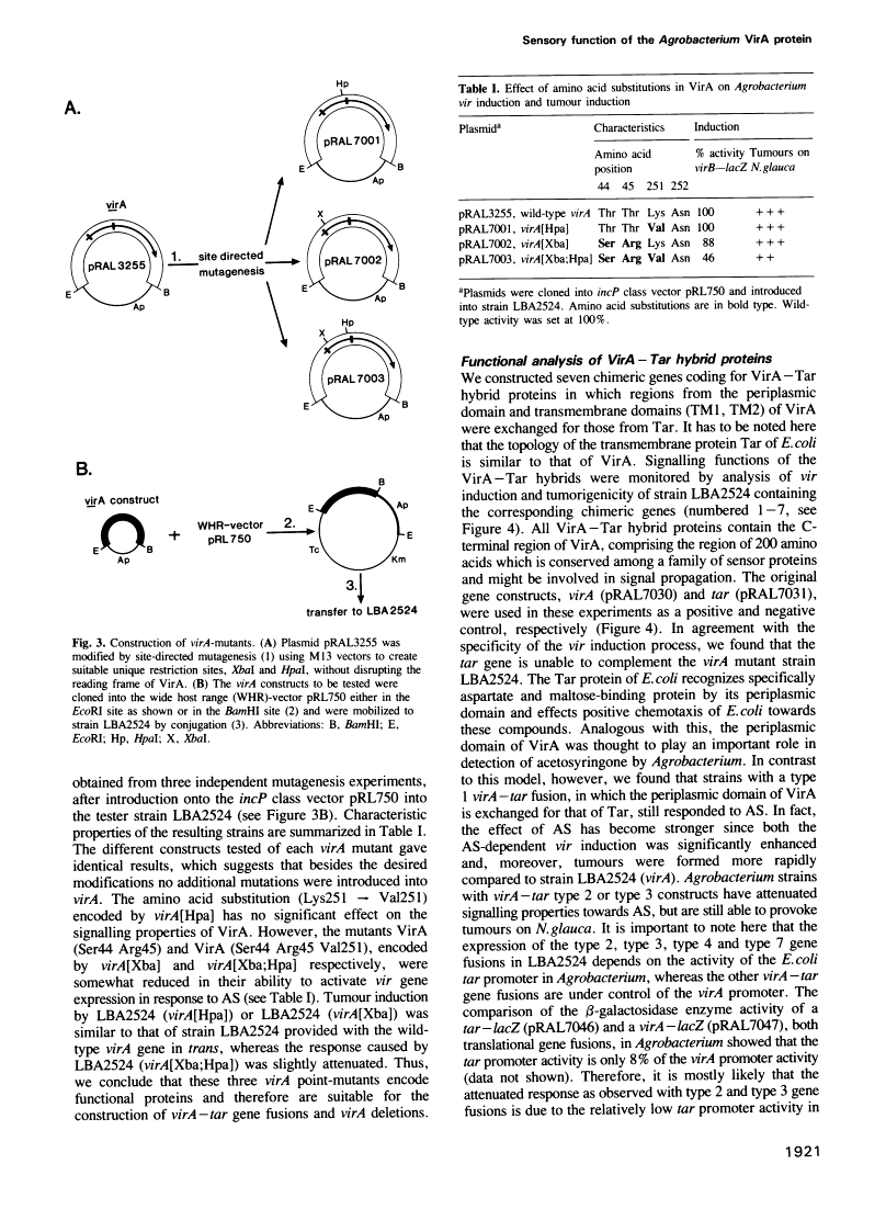 icon of scanned page 1921