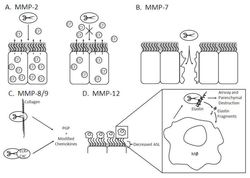 An external file that holds a picture, illustration, etc.
Object name is nihms-586389-f0001.jpg