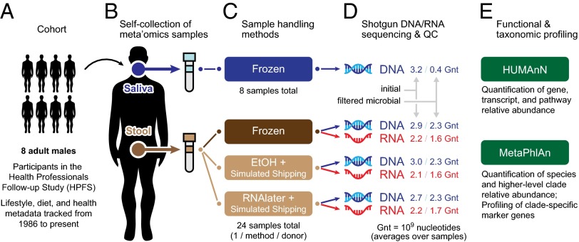 An external file that holds a picture, illustration, etc.
Object name is pnas.1319284111fig01.jpg