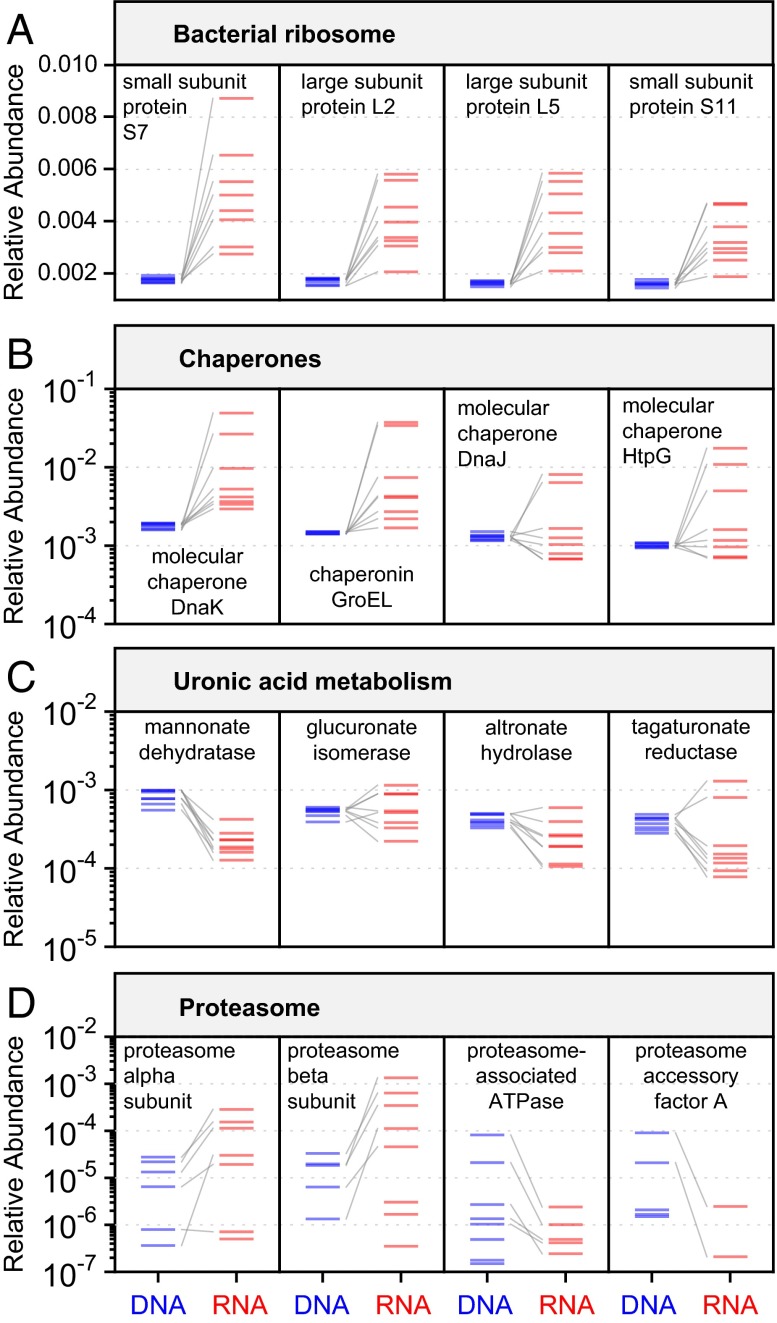 An external file that holds a picture, illustration, etc.
Object name is pnas.1319284111fig06.jpg