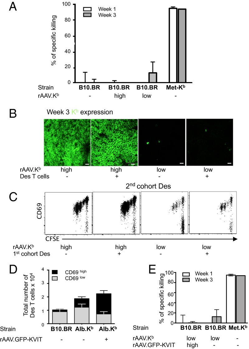 An external file that holds a picture, illustration, etc.
Object name is pnas.1406674111fig05.jpg