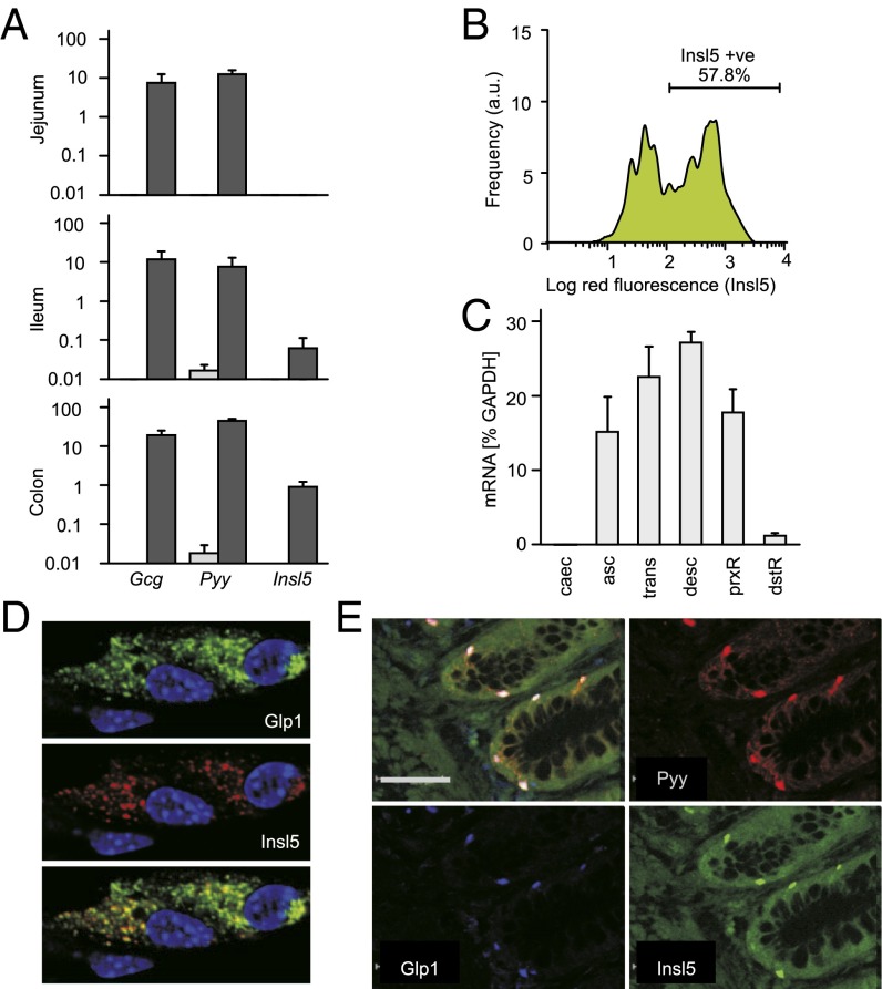 An external file that holds a picture, illustration, etc.
Object name is pnas.1411413111fig01.jpg