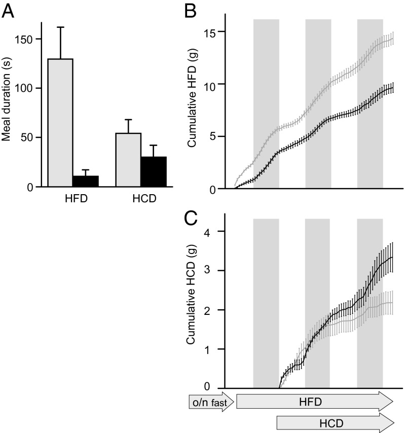 An external file that holds a picture, illustration, etc.
Object name is pnas.1411413111fig05.jpg