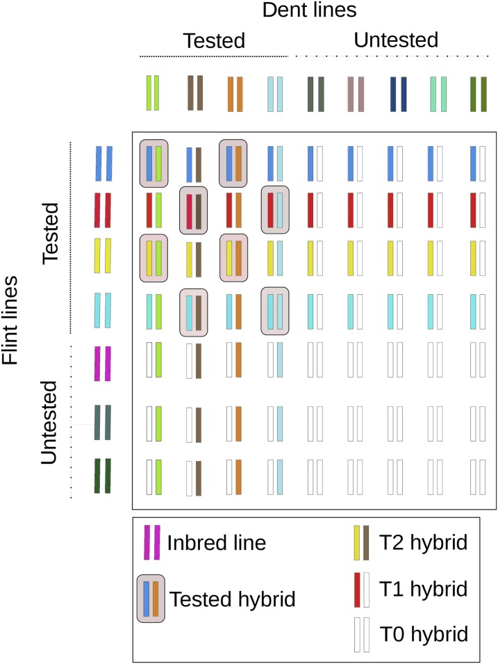 An external file that holds a picture, illustration, etc.
Object name is 1343fig1.jpg