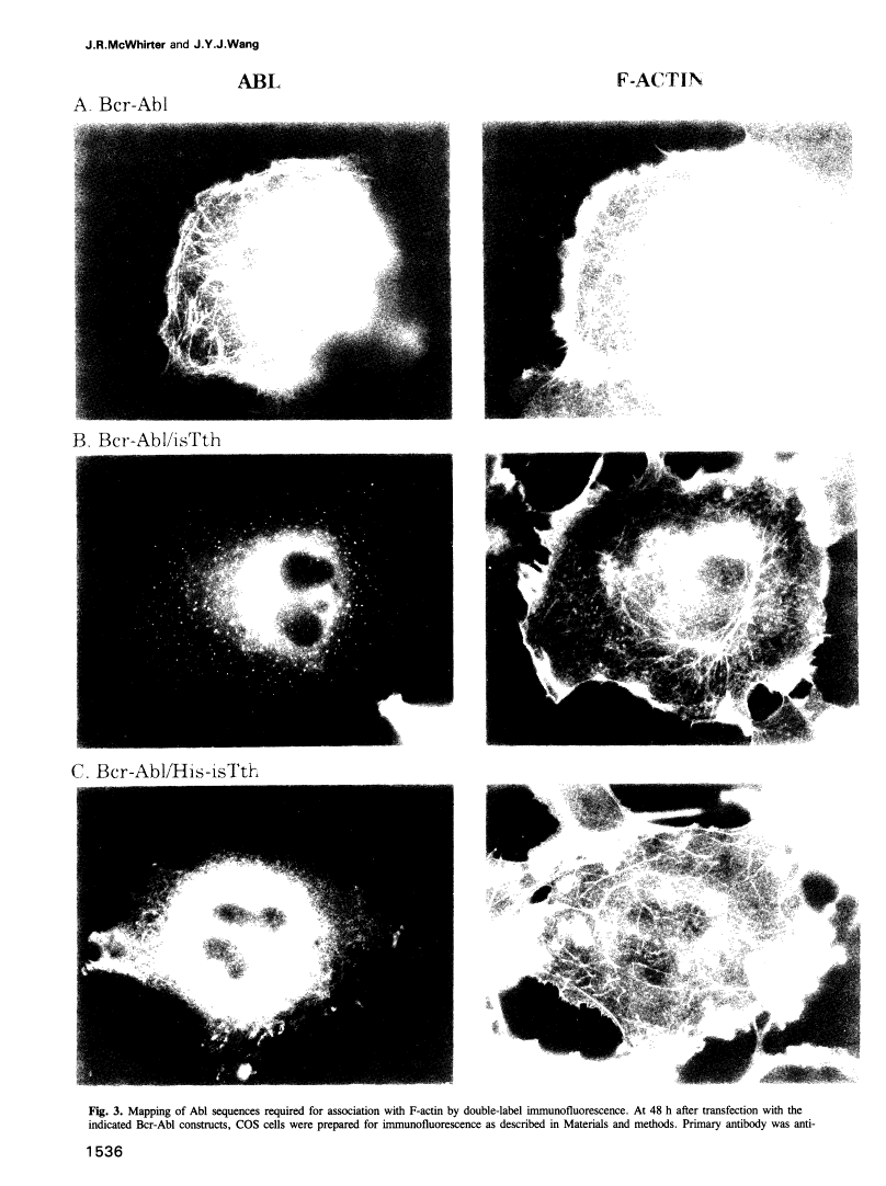 icon of scanned page 1536