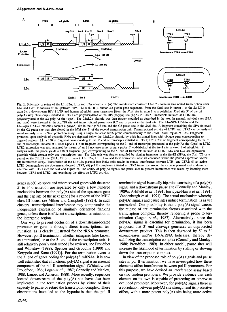 icon of scanned page 2540