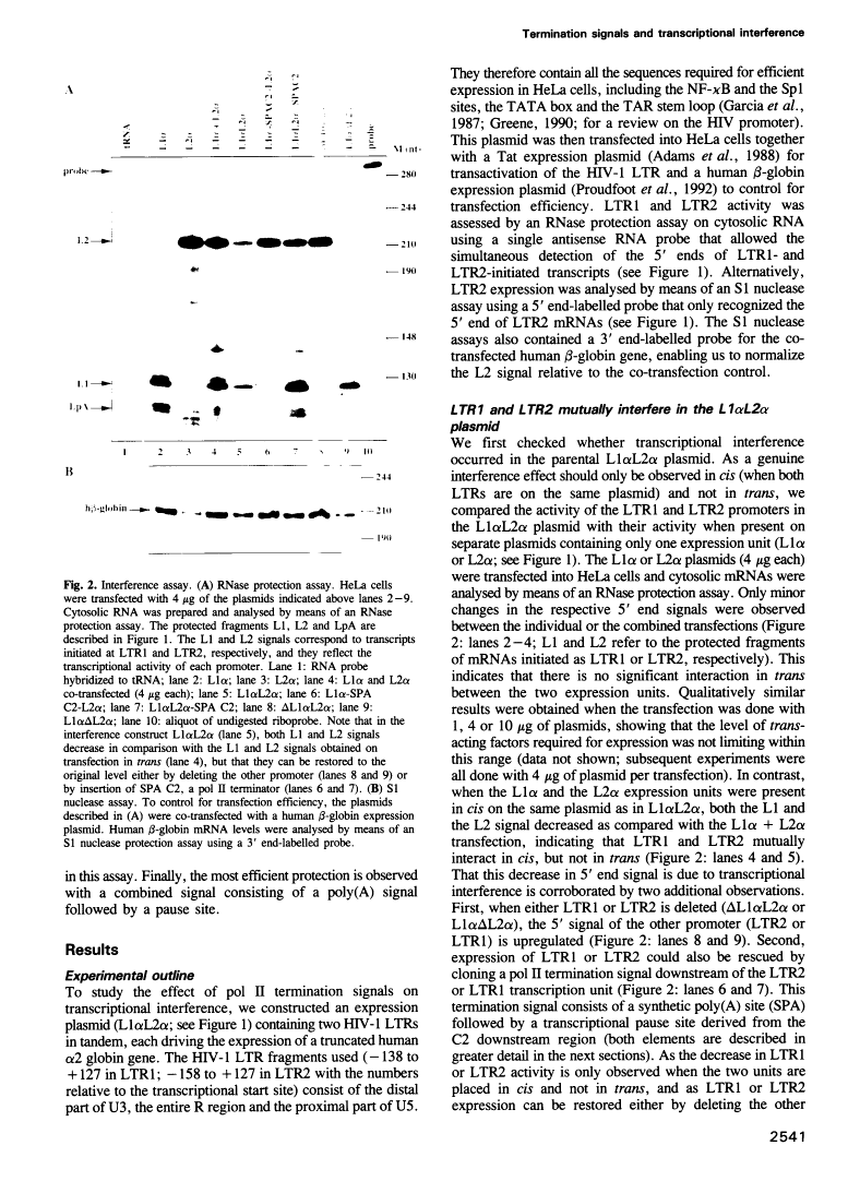 icon of scanned page 2541