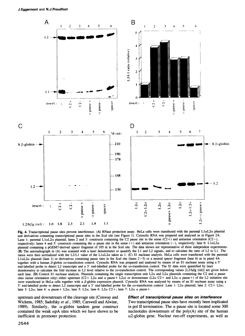 icon of scanned page 2544