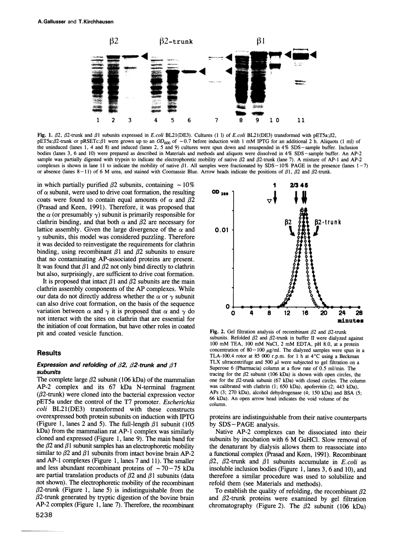 icon of scanned page 5238