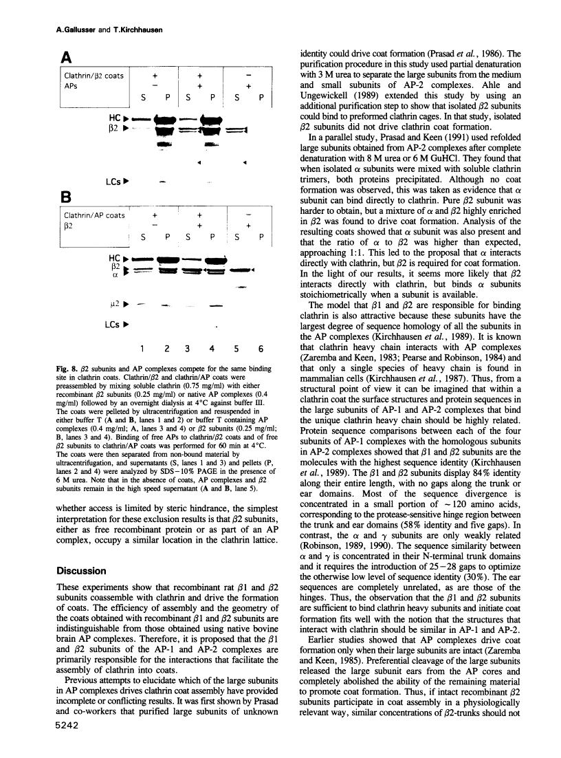 icon of scanned page 5242