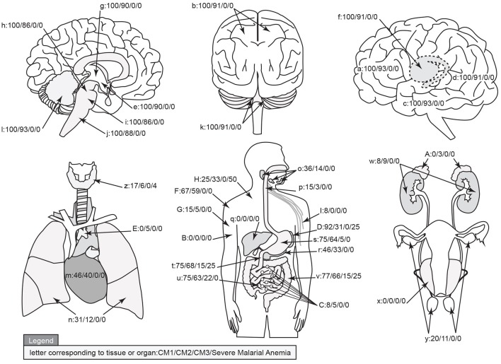 An external file that holds a picture, illustration, etc.
Object name is fcimb-04-00104-g0008.jpg