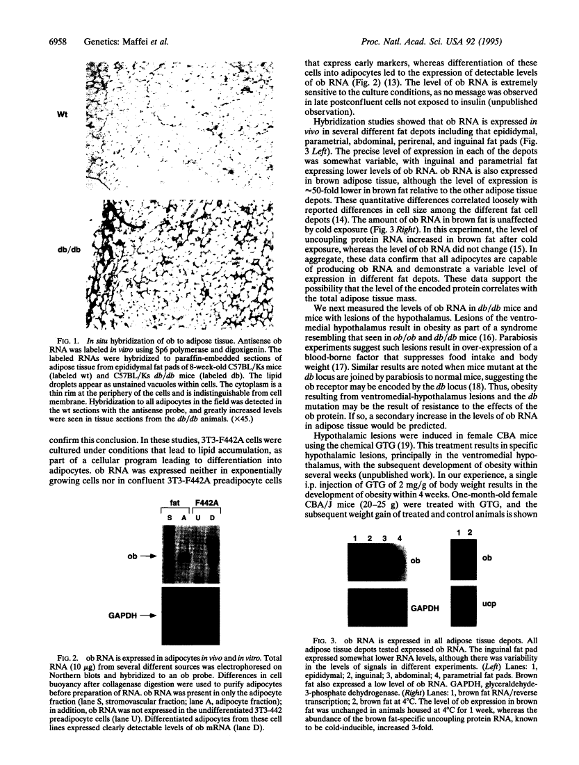 icon of scanned page 6958