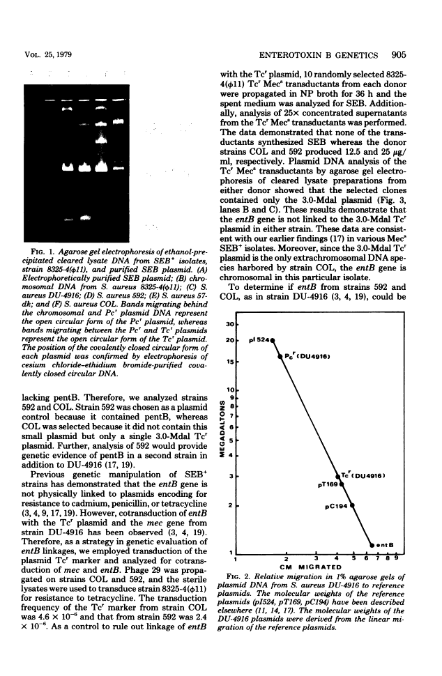 icon of scanned page 905