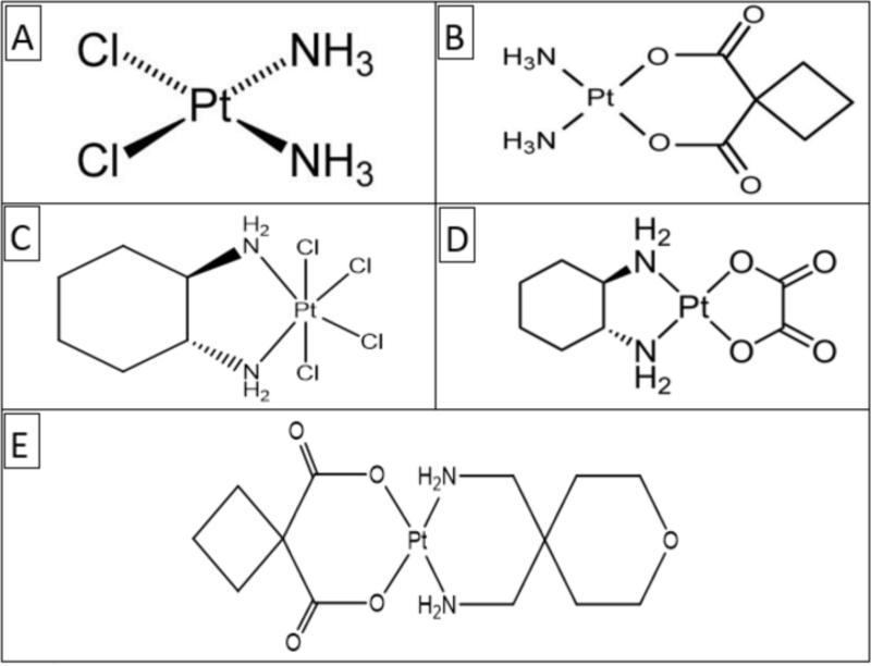 An external file that holds a picture, illustration, etc.
Object name is nihms-615599-f0001.jpg