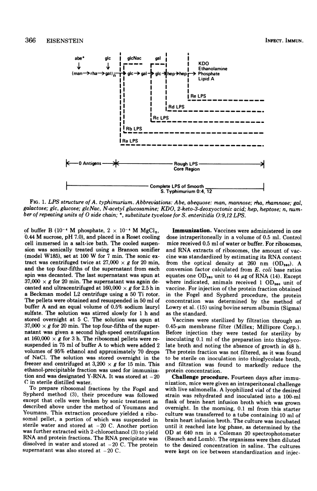 icon of scanned page 366