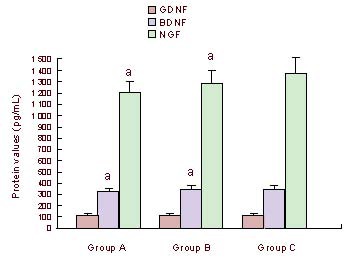 An external file that holds a picture, illustration, etc.
Object name is NRR-7-2907-g004.jpg