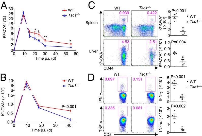 An external file that holds a picture, illustration, etc.
Object name is pnas.1404264111fig01.jpg