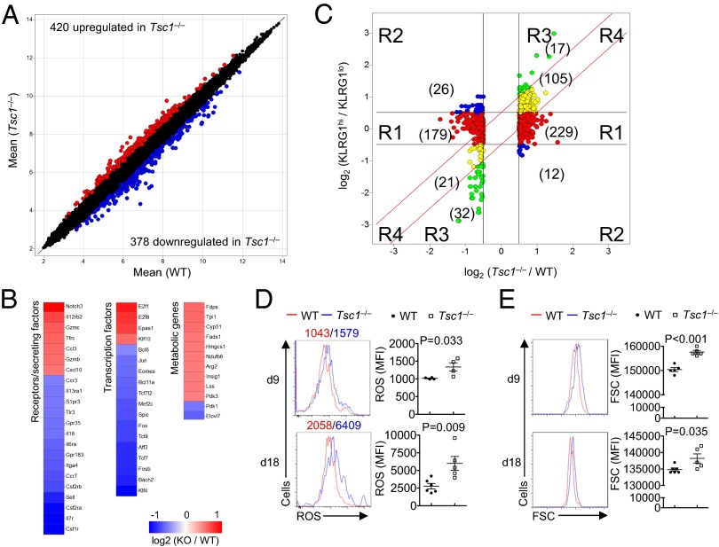 An external file that holds a picture, illustration, etc.
Object name is pnas.1404264111fig05.jpg