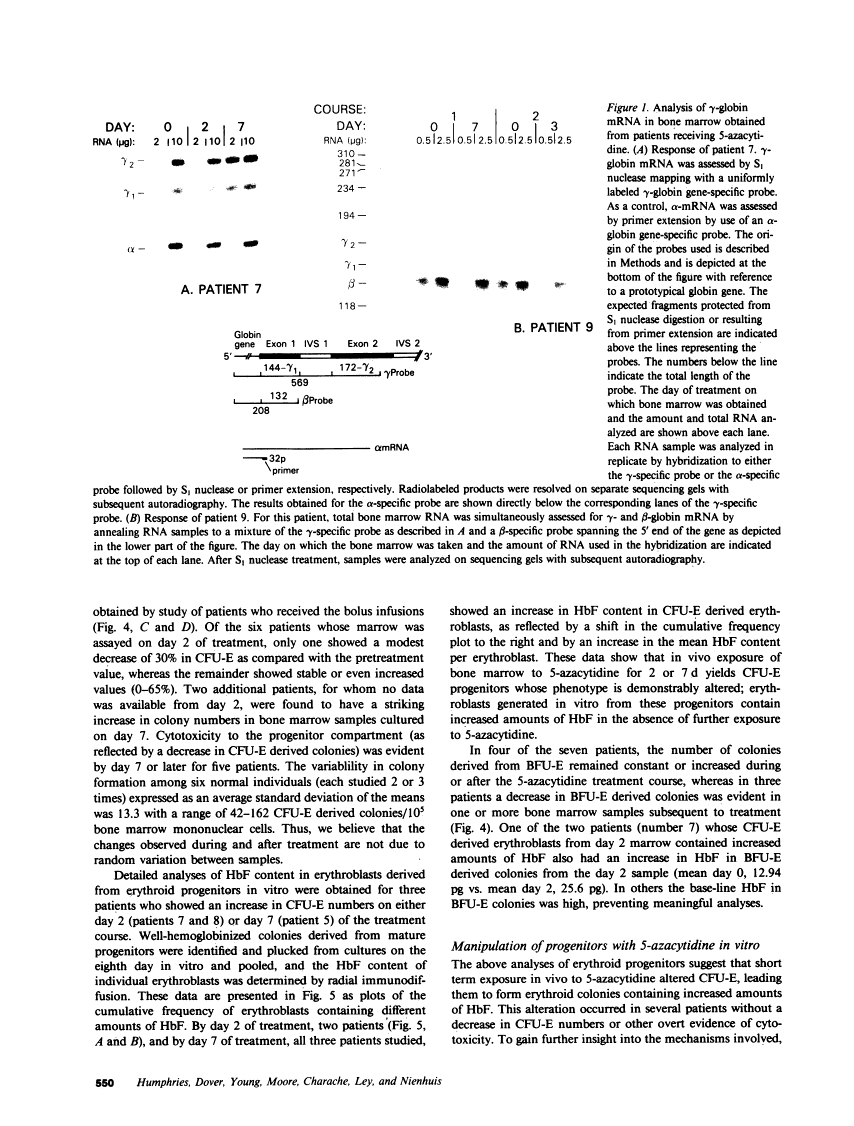 icon of scanned page 550