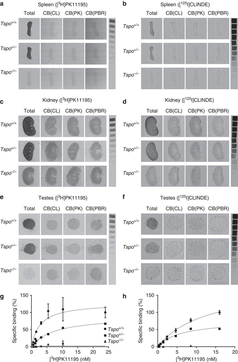 An external file that holds a picture, illustration, etc.
Object name is ncomms6452-f4.jpg