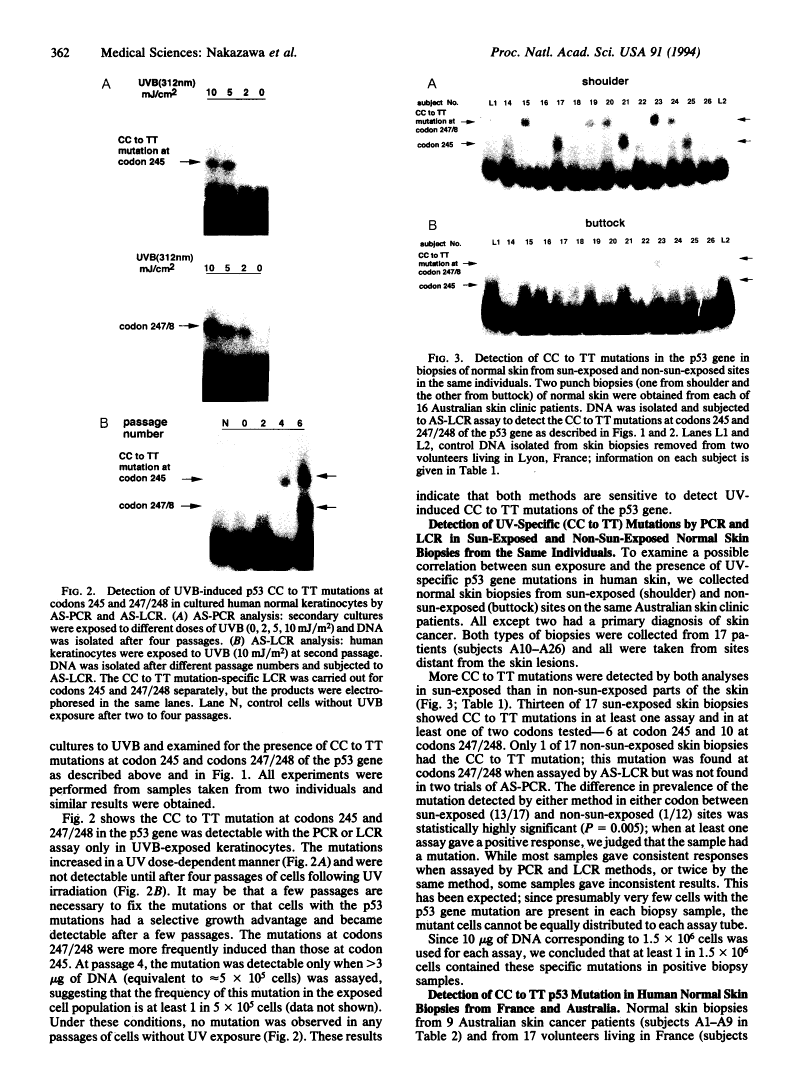 icon of scanned page 362