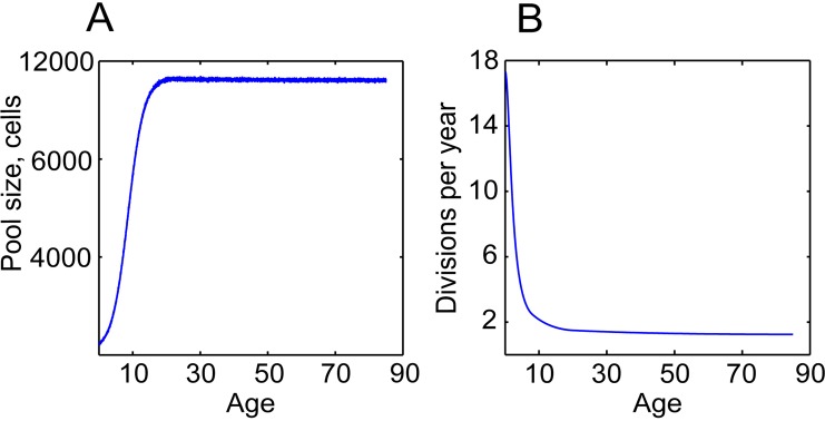 An external file that holds a picture, illustration, etc.
Object name is aging-06-1033-g003.jpg