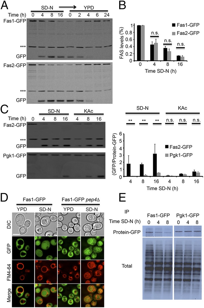 An external file that holds a picture, illustration, etc.
Object name is pnas.1409476112fig01.jpg