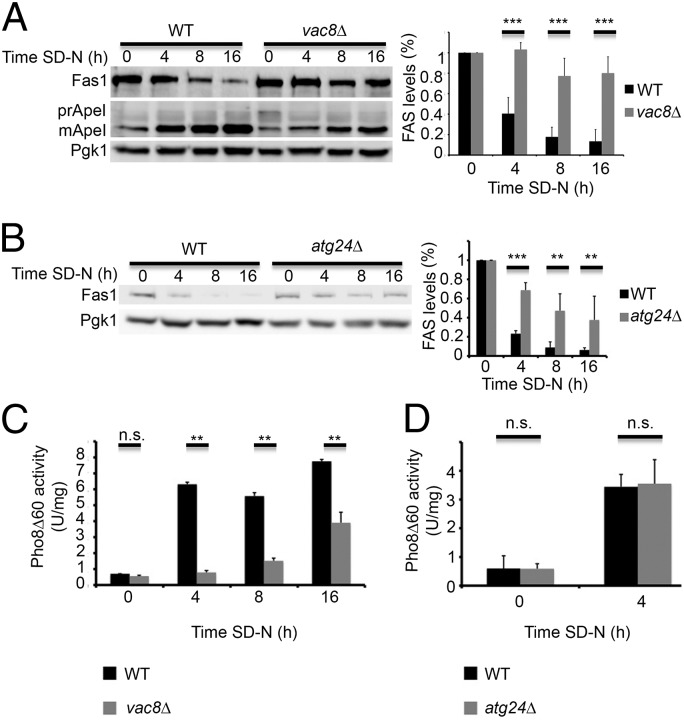 An external file that holds a picture, illustration, etc.
Object name is pnas.1409476112fig03.jpg