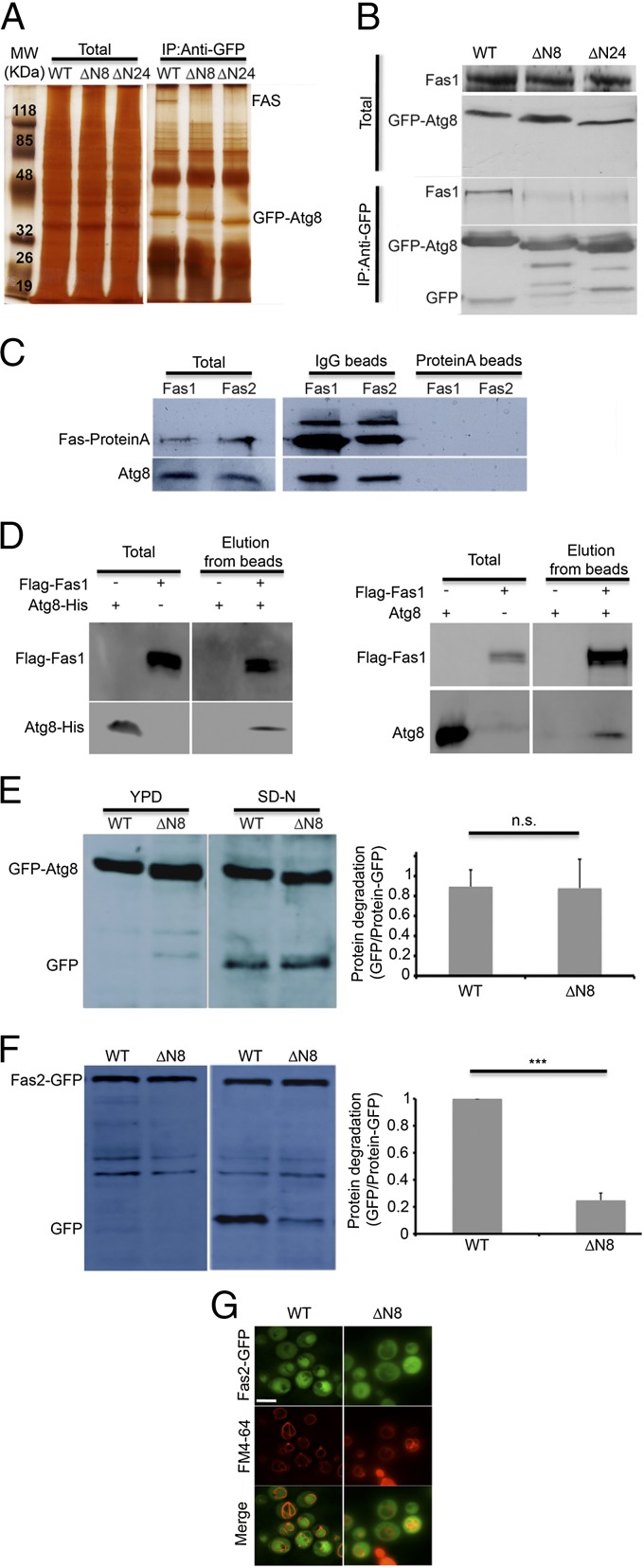 An external file that holds a picture, illustration, etc.
Object name is pnas.1409476112fig04.jpg