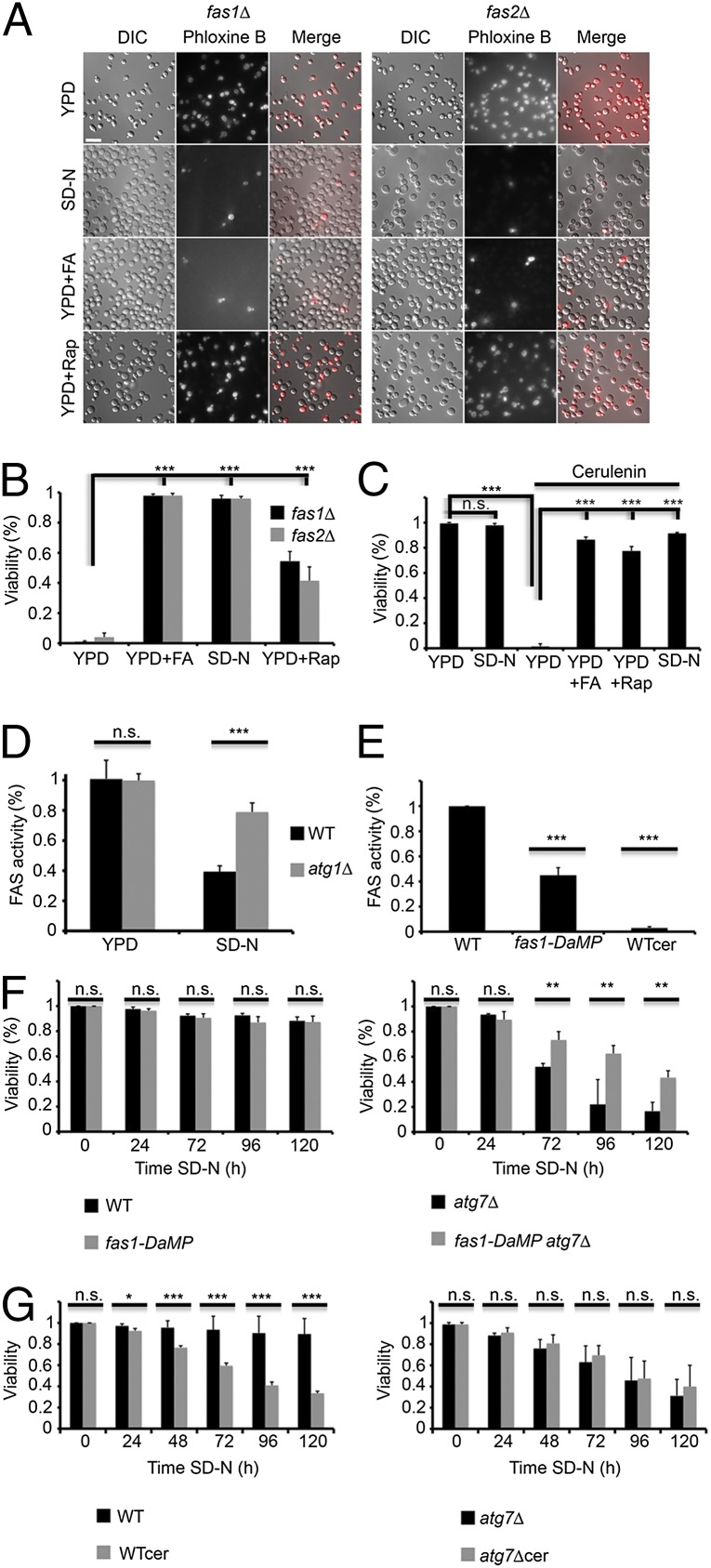 An external file that holds a picture, illustration, etc.
Object name is pnas.1409476112fig05.jpg