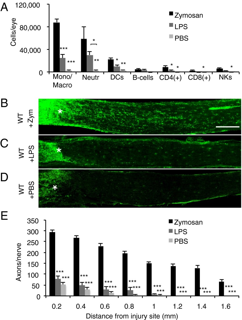 An external file that holds a picture, illustration, etc.
Object name is pnas.1423221112fig01.jpg