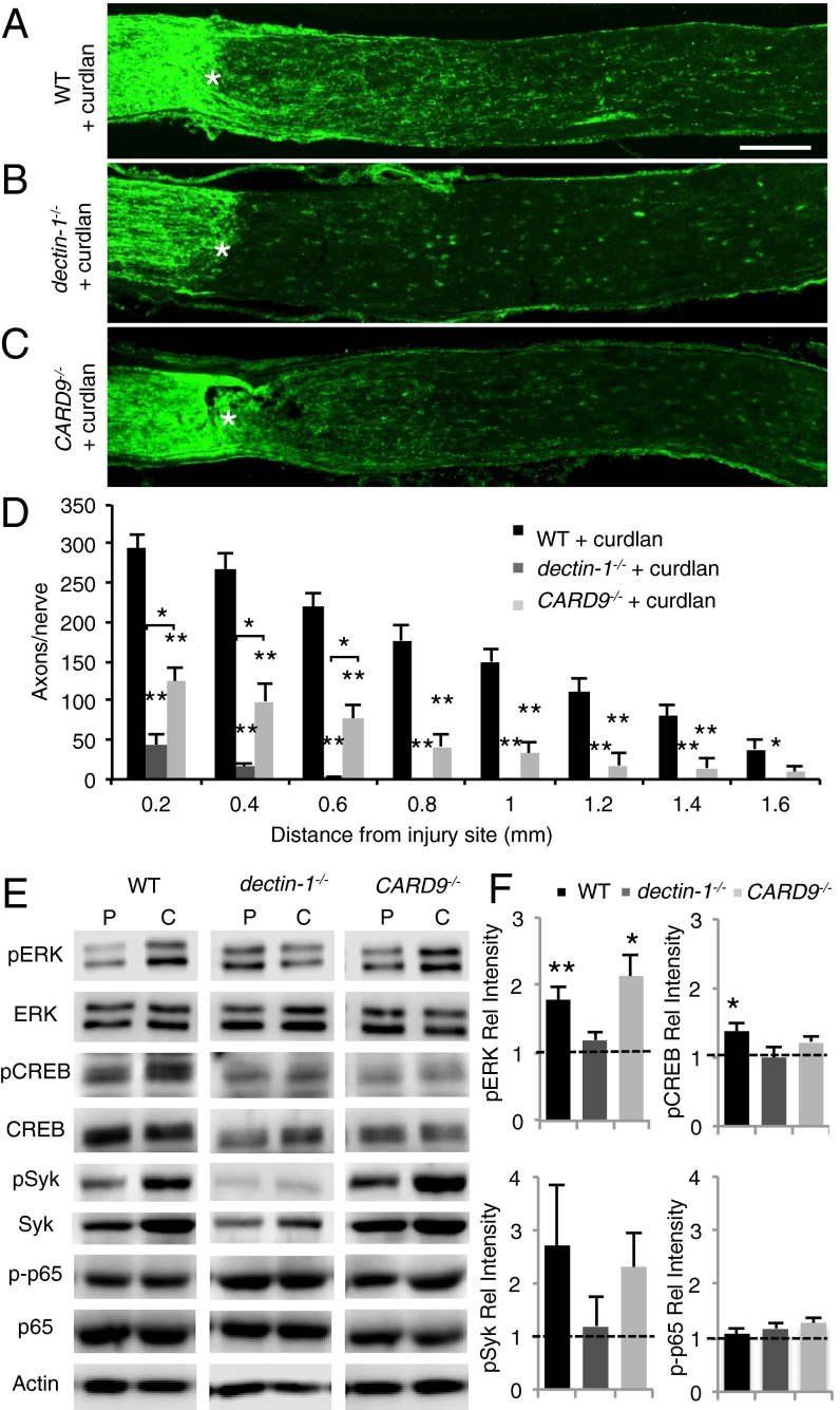 An external file that holds a picture, illustration, etc.
Object name is pnas.1423221112fig03.jpg