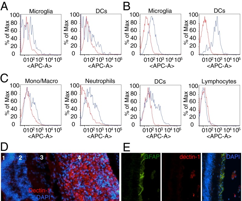 An external file that holds a picture, illustration, etc.
Object name is pnas.1423221112fig04.jpg