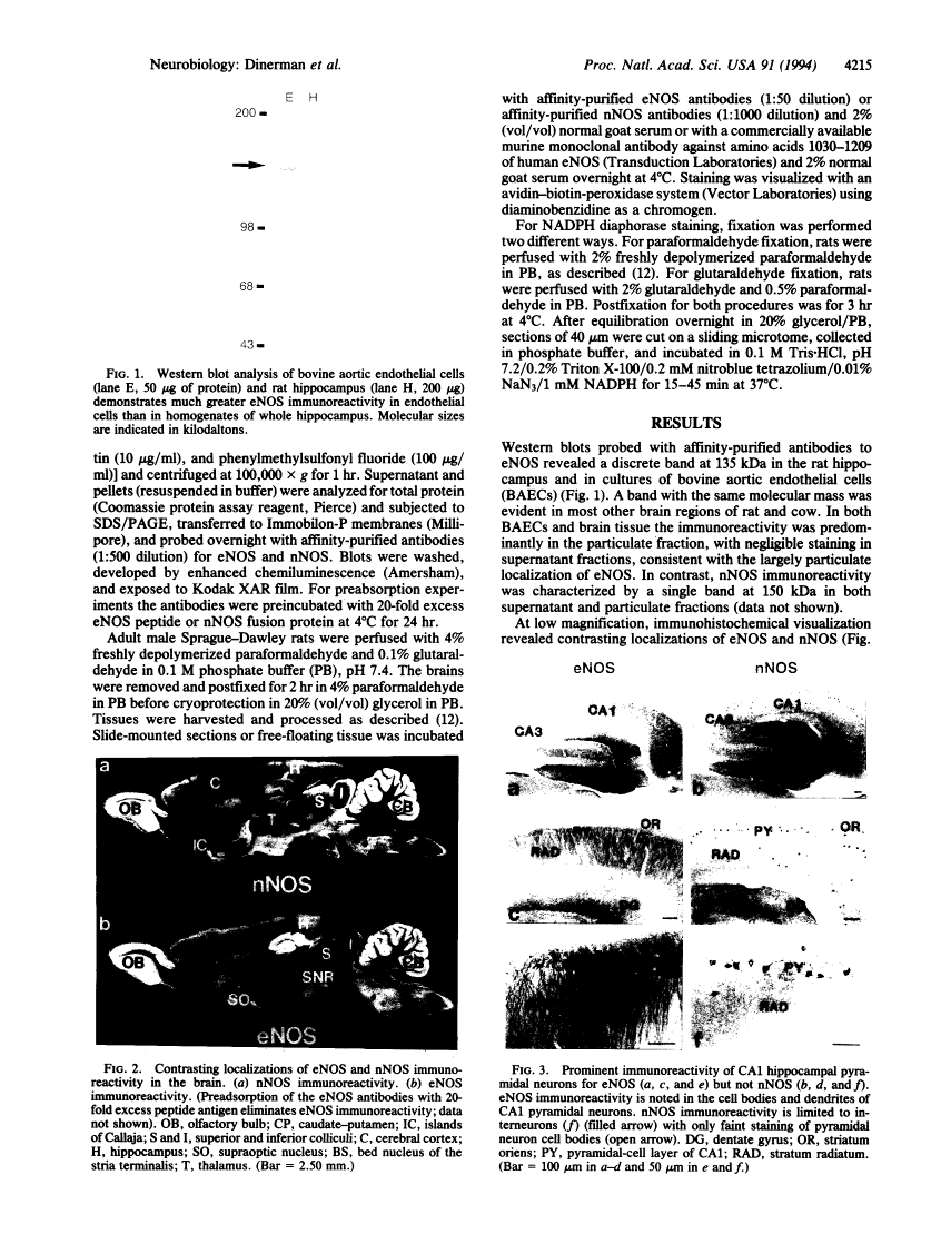 icon of scanned page 4215