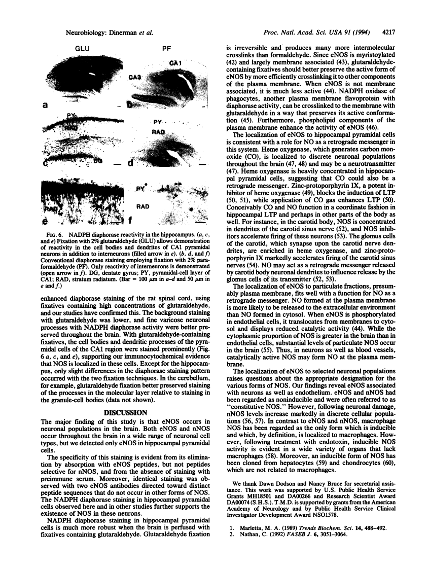 icon of scanned page 4217