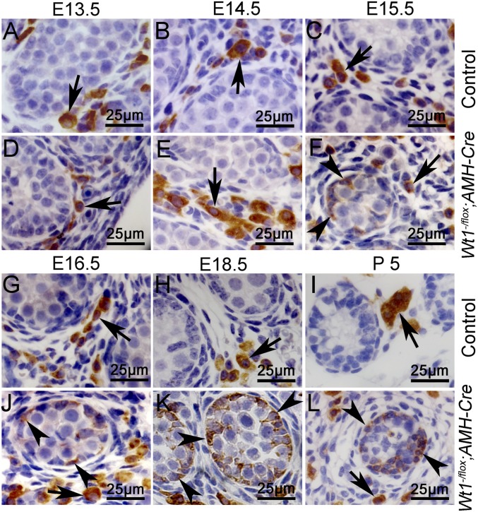 An external file that holds a picture, illustration, etc.
Object name is pnas.1422371112fig03.jpg