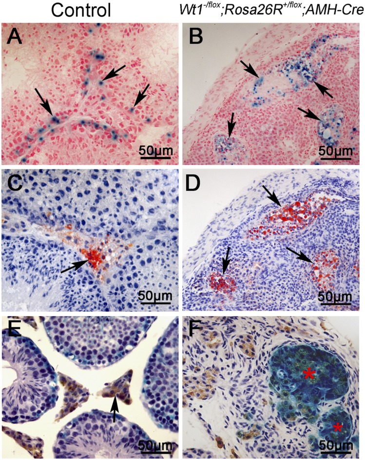 An external file that holds a picture, illustration, etc.
Object name is pnas.1422371112fig04.jpg